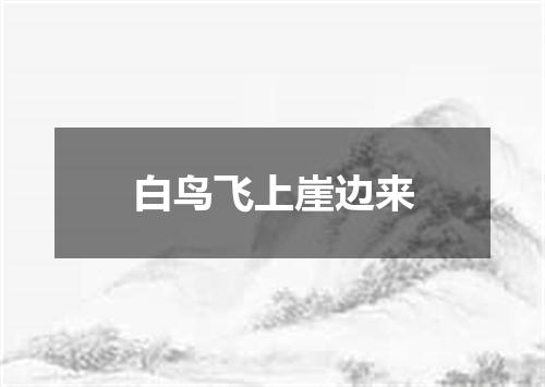 白鸟飞上崖边来