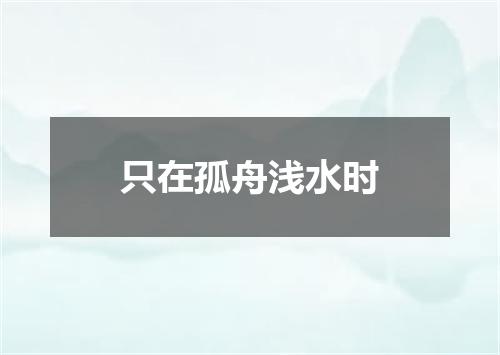 只在孤舟浅水时