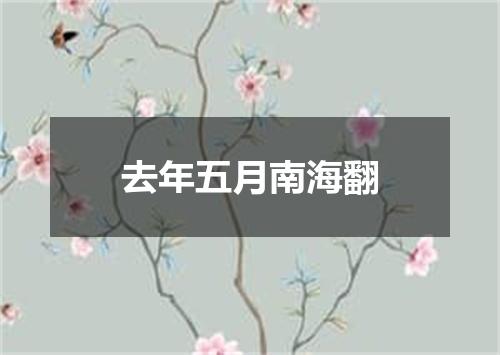 去年五月南海翻