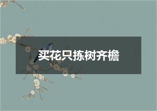 买花只拣树齐檐