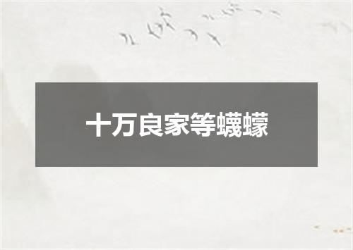十万良家等蠛蠓