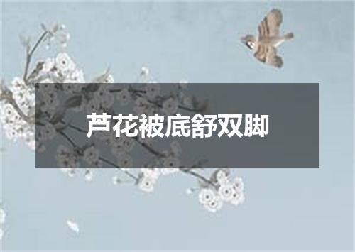 芦花被底舒双脚