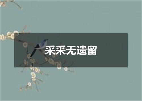 采采无遗留