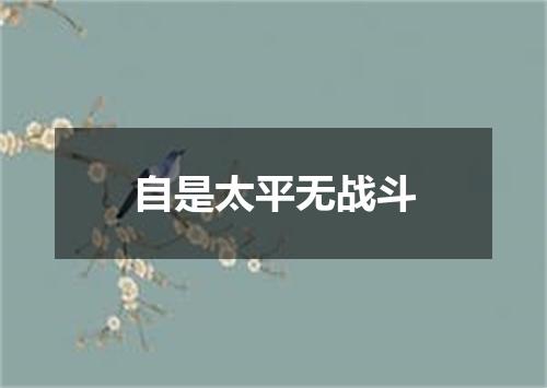 自是太平无战斗