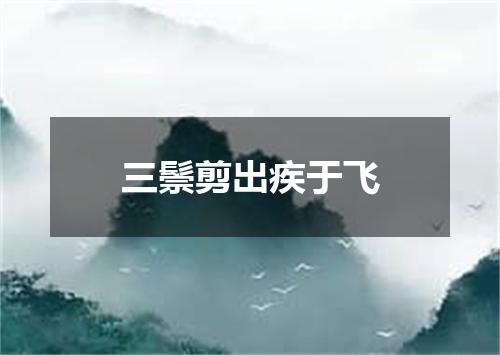 三鬃剪出疾于飞