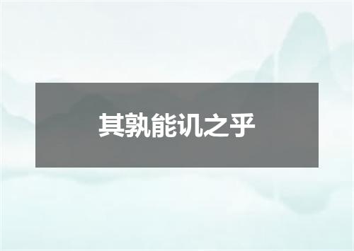 其孰能讥之乎