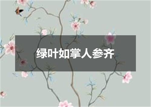 绿叶如掌人参齐