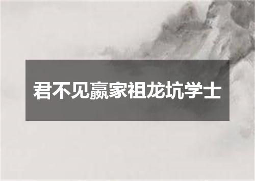 君不见嬴家祖龙坑学士