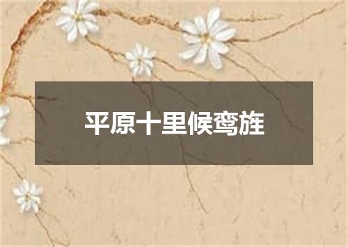 平原十里候鸾旌