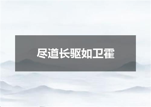 尽道长驱如卫霍