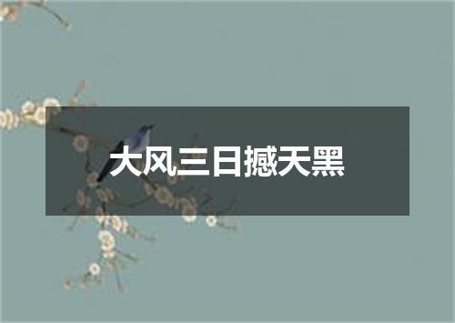 大风三日撼天黑