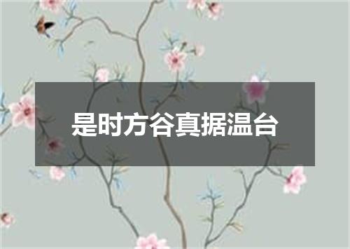 是时方谷真据温台
