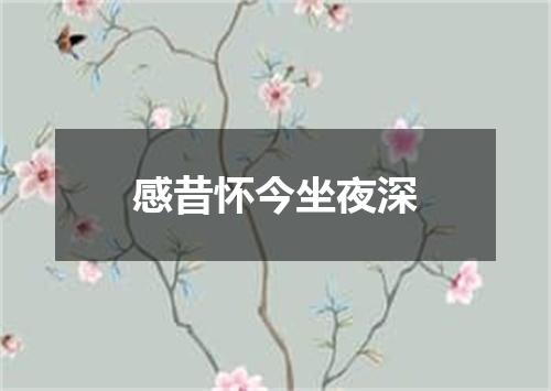 感昔怀今坐夜深