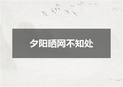 夕阳晒网不知处
