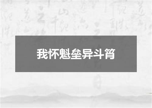 我怀魁垒异斗筲