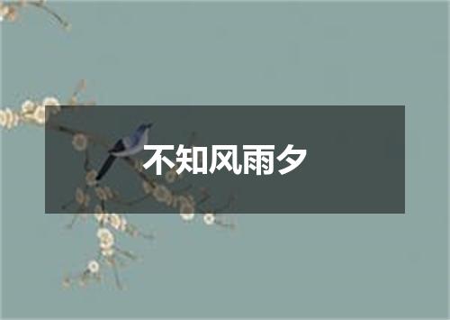 不知风雨夕