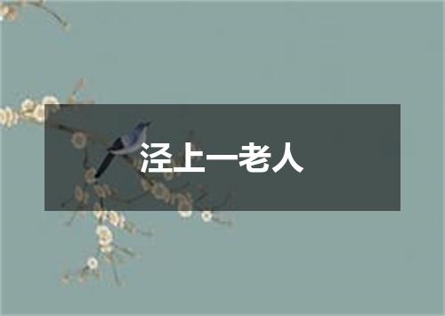泾上一老人