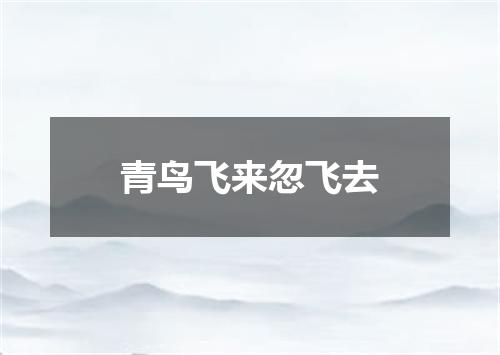 青鸟飞来忽飞去