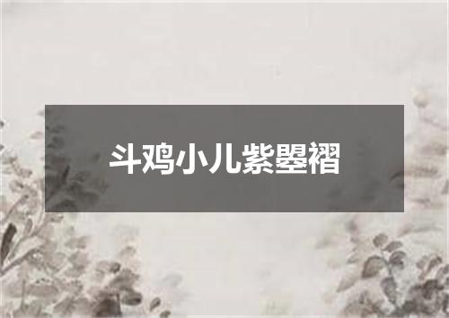 斗鸡小儿紫曌褶