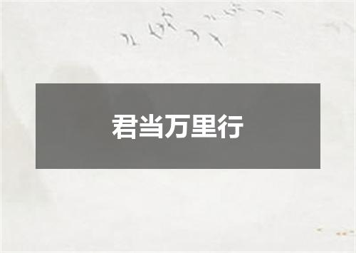 君当万里行
