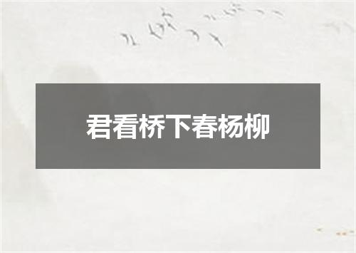 君看桥下春杨柳