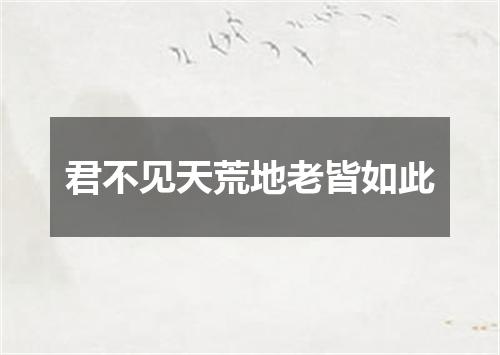 君不见天荒地老皆如此