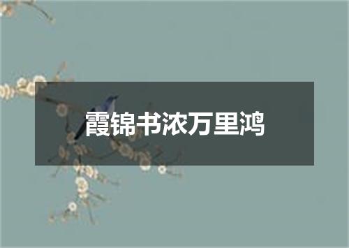 霞锦书浓万里鸿