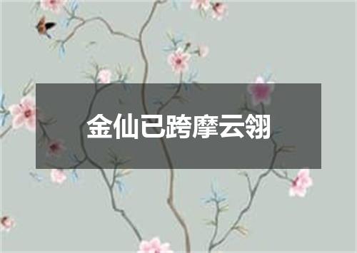 金仙已跨摩云翎