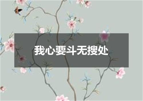 我心要斗无搜处