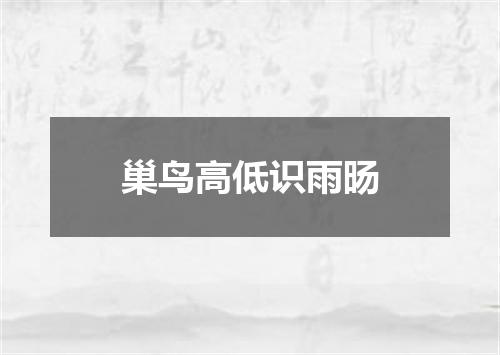 巢鸟高低识雨旸