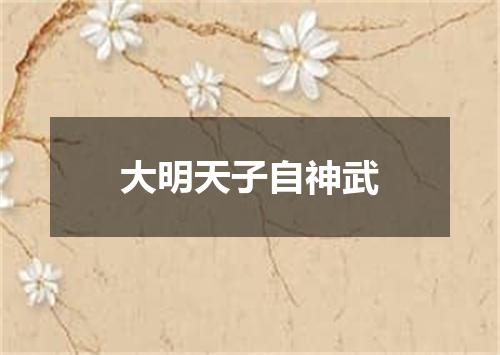 大明天子自神武