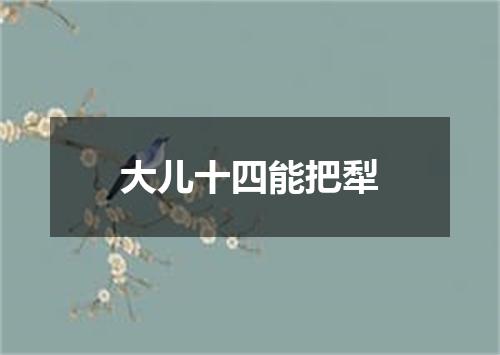 大儿十四能把犁