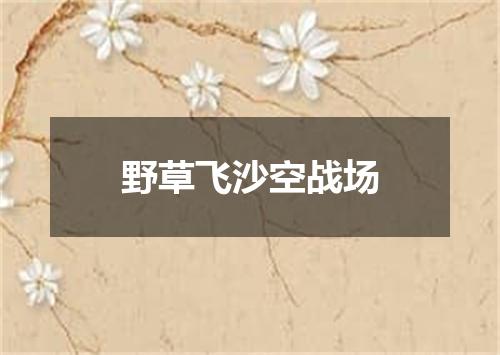野草飞沙空战场