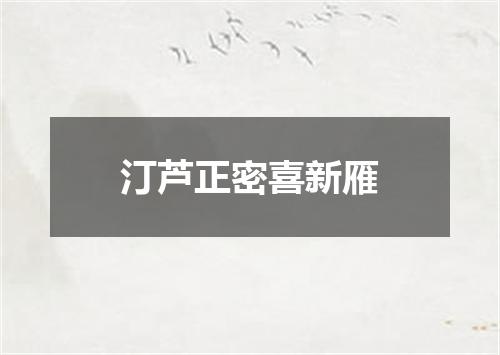 汀芦正密喜新雁