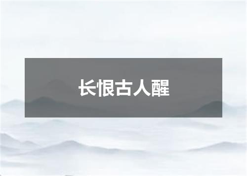 长恨古人醒