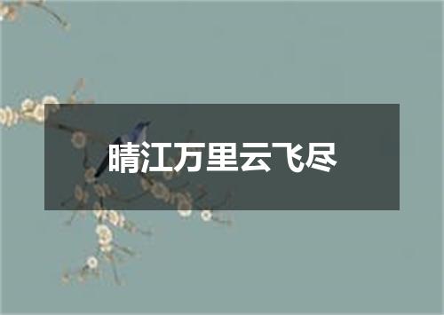 晴江万里云飞尽