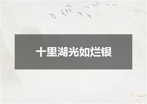 十里湖光如烂银