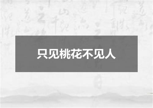 只见桃花不见人