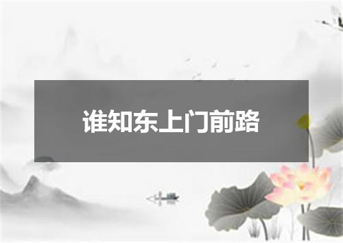 谁知东上门前路