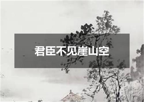 君臣不见崖山空