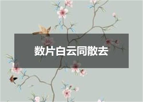 数片白云同散去