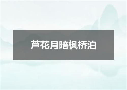 芦花月暗枫桥泊