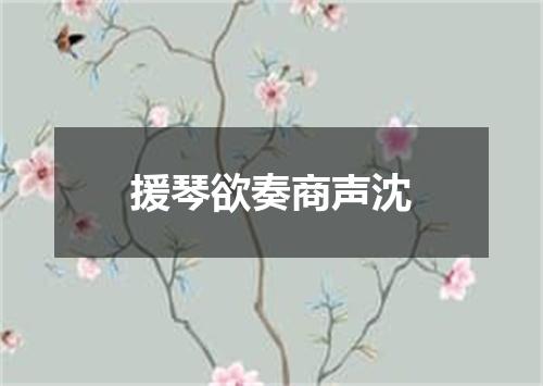 援琴欲奏商声沈