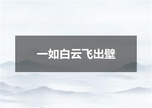 一如白云飞出壁