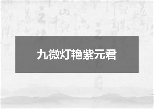 九微灯艳紫元君