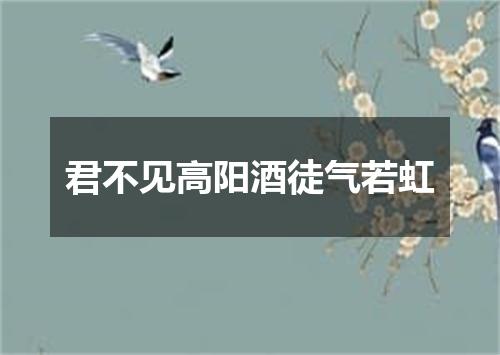 君不见高阳酒徒气若虹