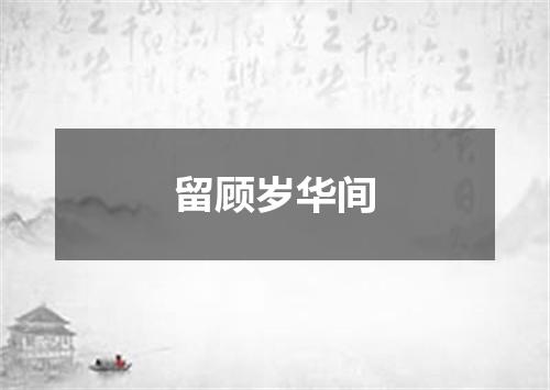留顾岁华间