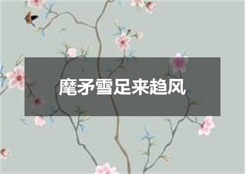 麾矛雪足来趋风