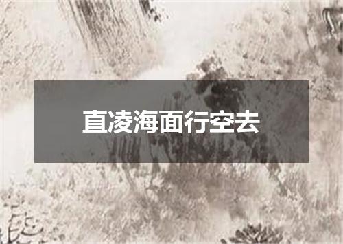直凌海面行空去