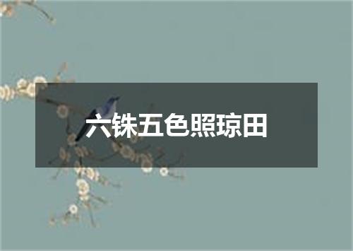 六铢五色照琼田